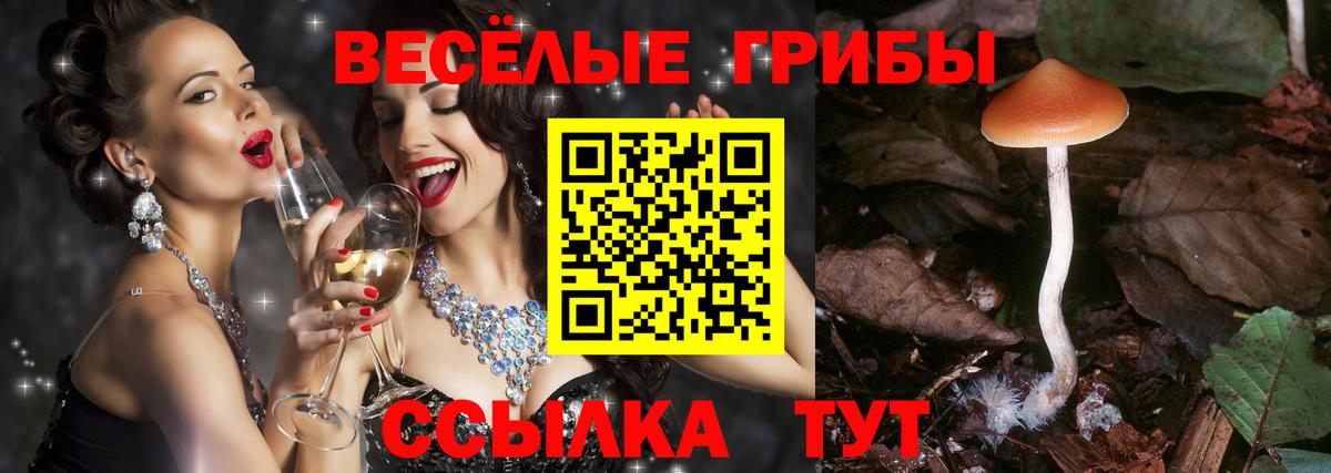 Киржач  Псилоцибиновые грибы мухоморы  Вход с VPN 